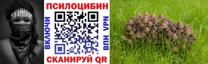 Галлюциногенные грибы Magic Shrooms Бежецк