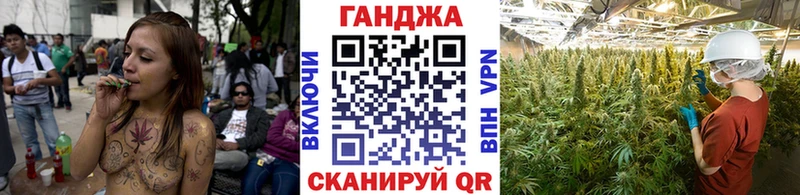 Конопля сатива  Бежецк 